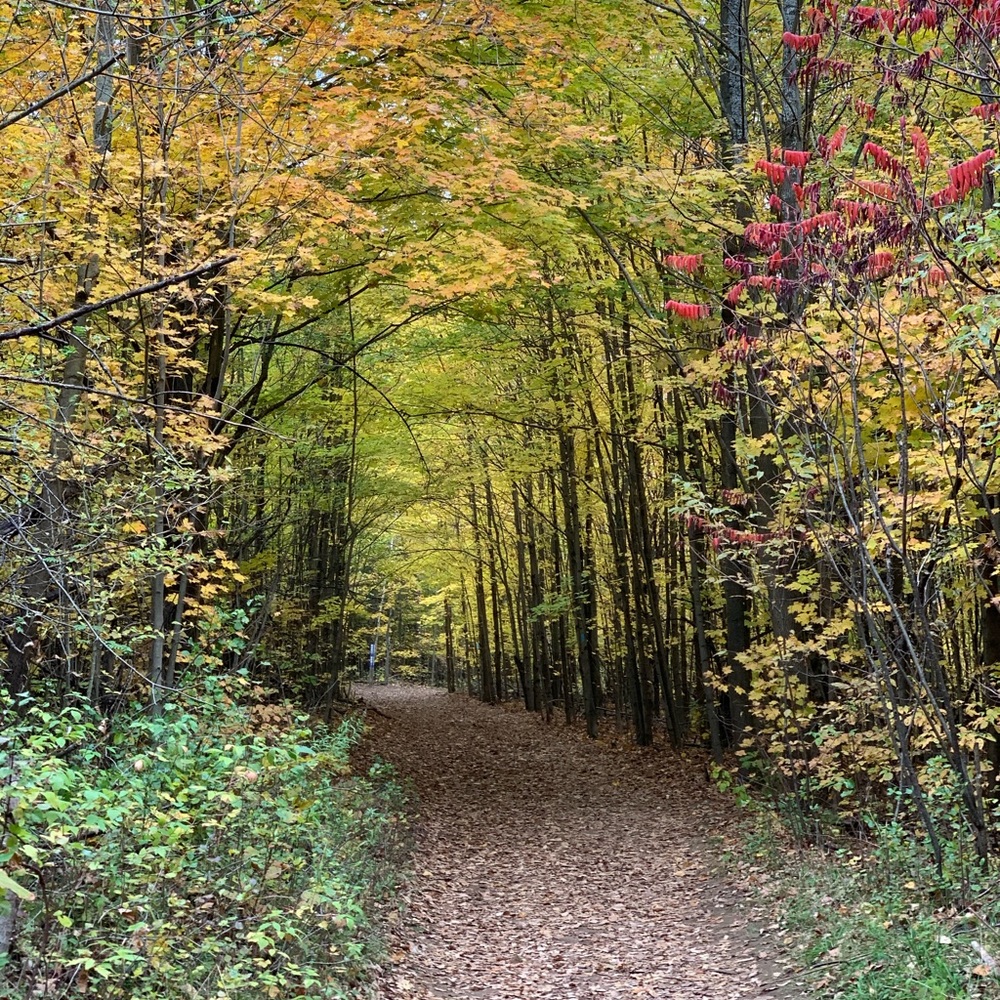 Meet your Posher, Alexandra